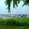 Tour 5: Krumminer Wieck
